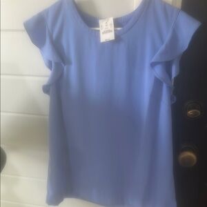 Elegant Blue Top jcrew $69.50 retail fits a tad small I say fits like a 6